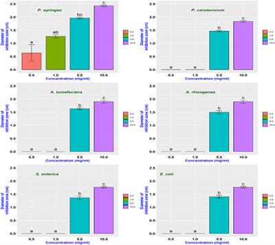 Amine-Coated Carbon Dots (NH2-FCDs) as Novel Antimicrobial Agent for Gram-Negative Bacteria